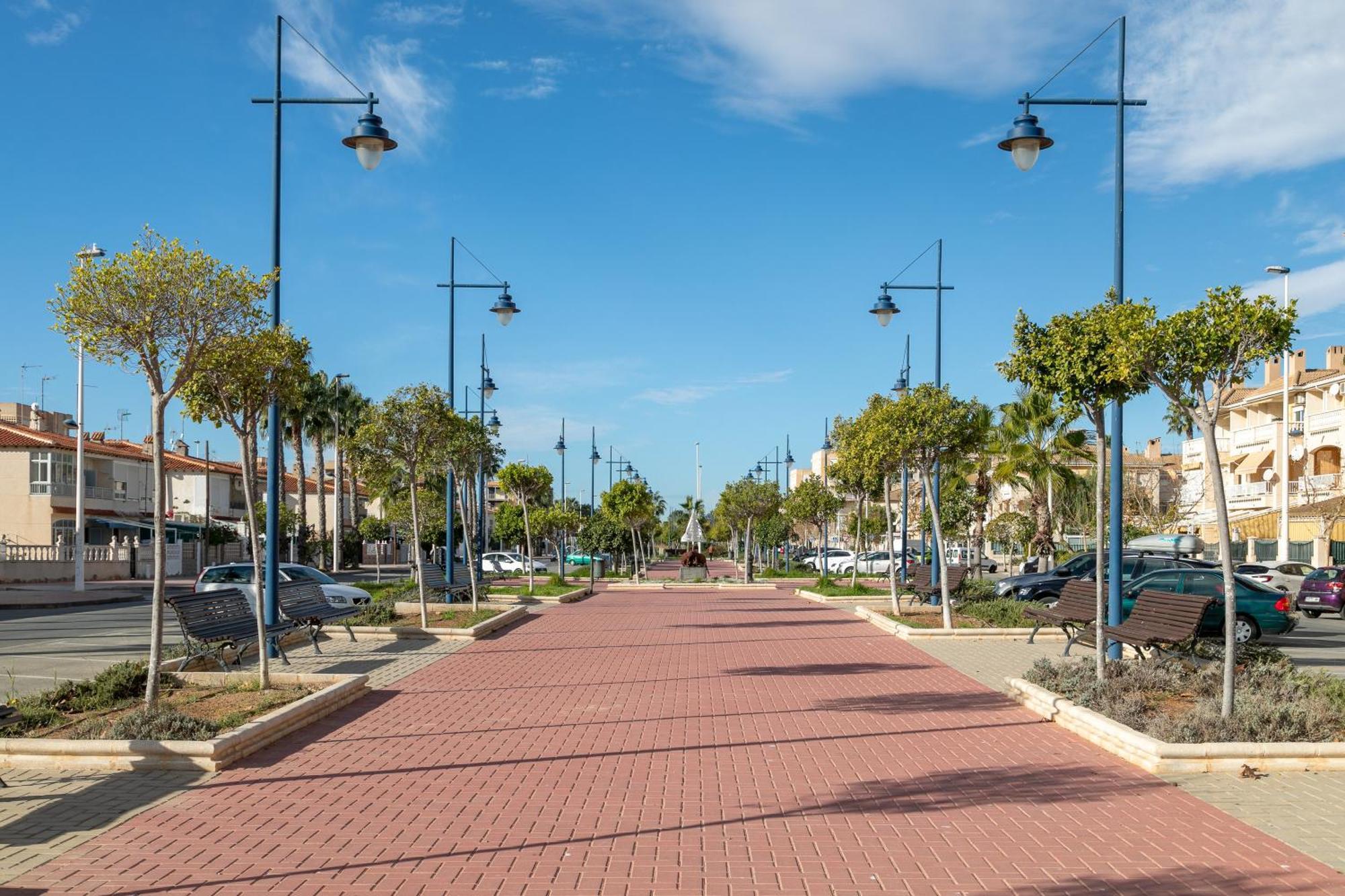 Sunflower Italia * Santa Pola